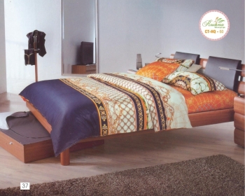 Bộ chăn ga gối CTHQ 60