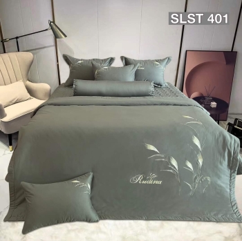 Bộ chăn ga gối Solid ST401